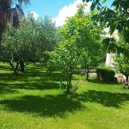Natalija I Zala Apartment Vodice