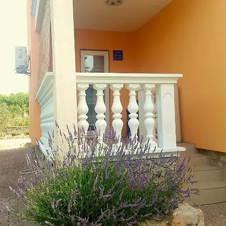 Bambolina I Zala Vodice